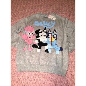 Bluey tv show Disney sweater sweatshirt gray dog bingo coco Chloe sweater NWT